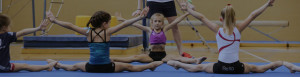 delta gymnastics