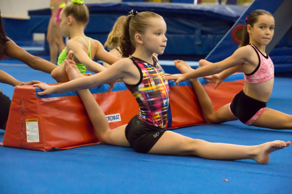 Physical, ability and development (PAD Test) for Gymnasts - Delta ...