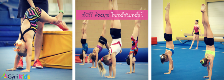 The Handstand Delta Gymnastics 