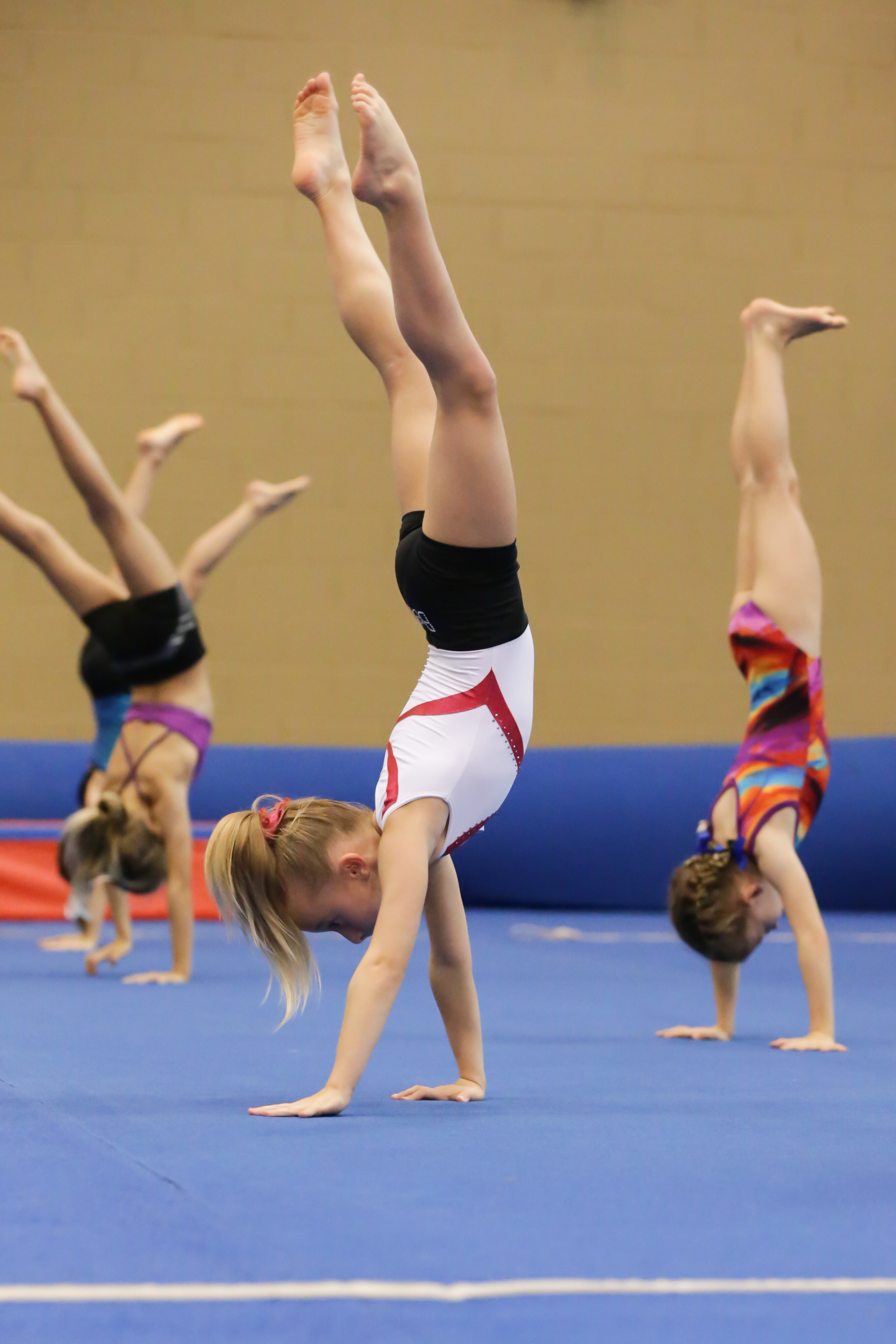 Handstands in gymnastics Delta Gymnastics Brisbane, Gold Coast