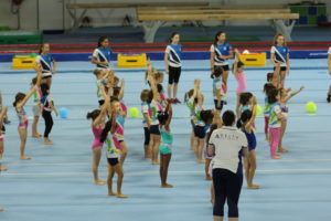 Delta Gymnastics Brisbane, Gold Coast & Barron Valley
